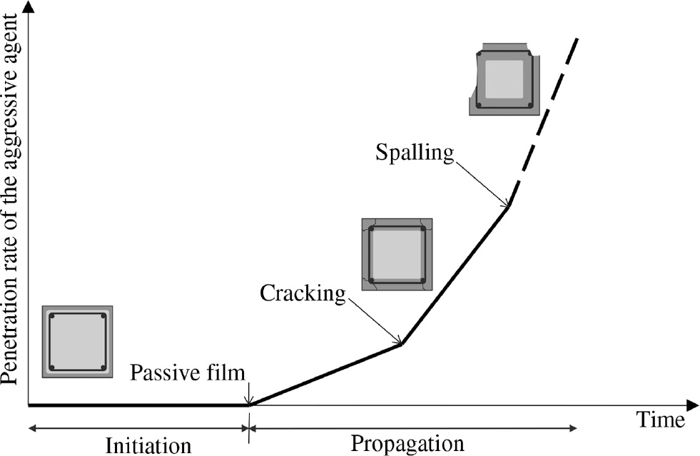 Figure 1: 
					Corrosion initiation and propagation phases in the RC structure (Tuutti’s model).
				