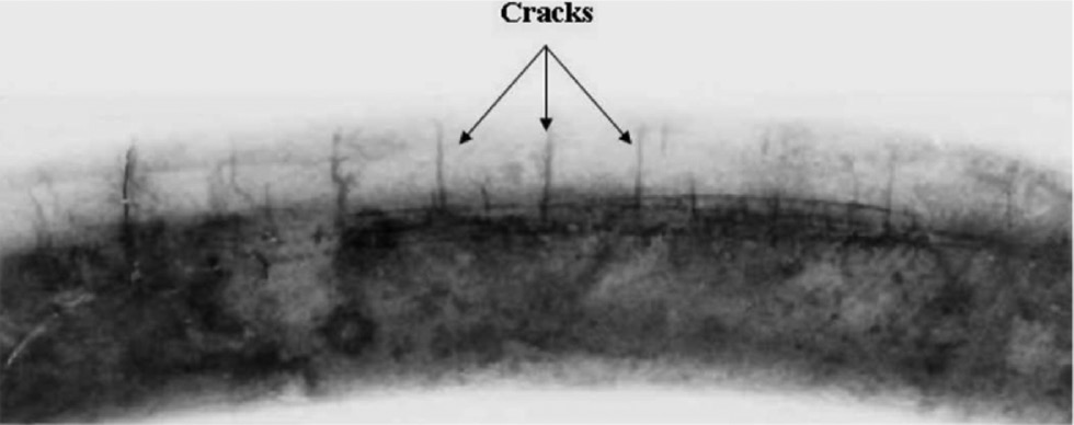 Figure 9: 
						Stress corrosion cracks induced in a bend by polythionic acid.
						Reprinted from Tawancy (2009), with permission from Elsevier.
					