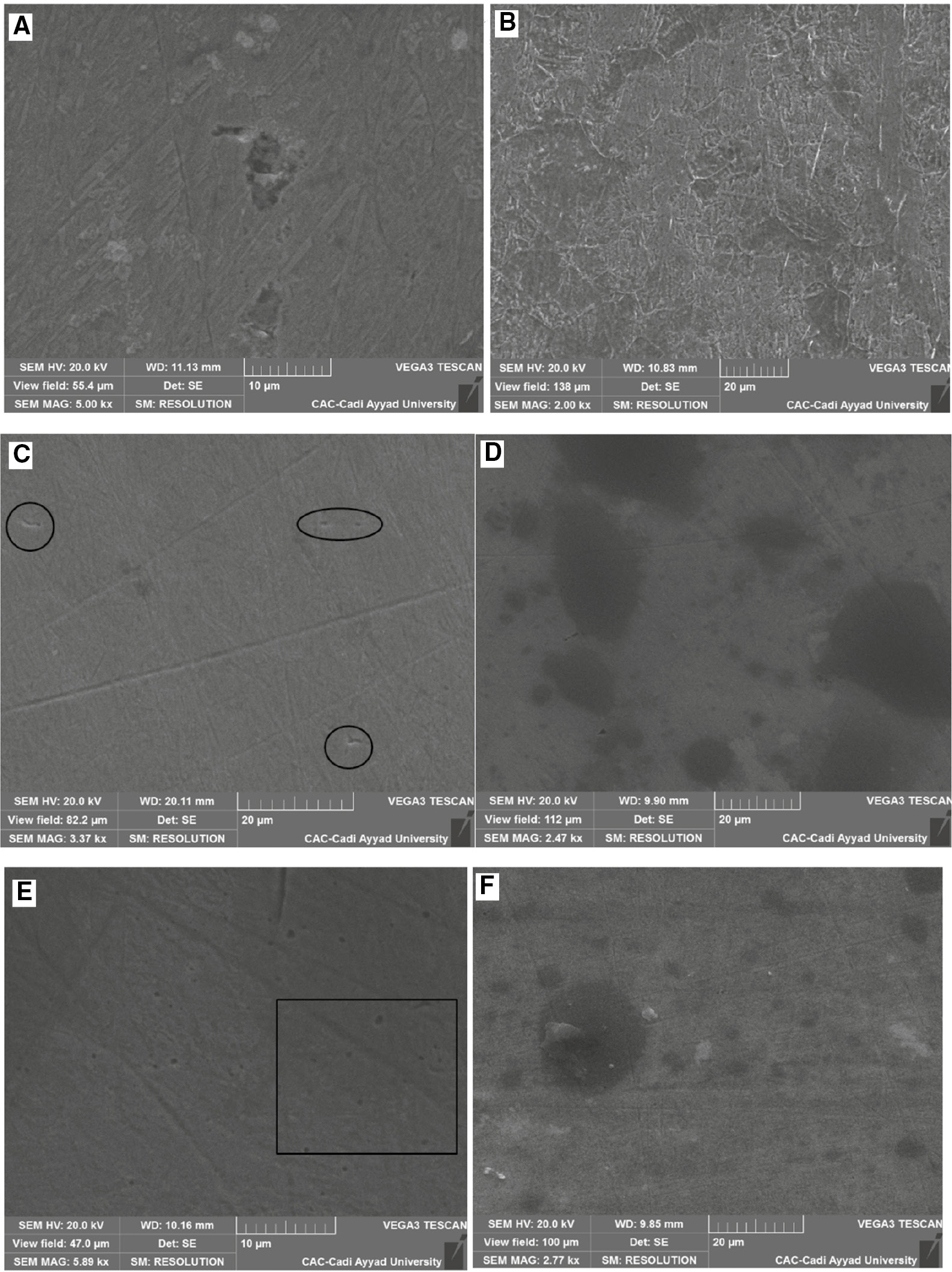 Figure 13: 
							SEM images of polarized 321 SS in H2SO4 containing (A) 400 ppm Cl−, (B) 400 ppm Cl−+3.5 g l−1 EEE, (C) 1000 ppm Cl−, (D) 1000 ppm Cl−+3.5 g l−1 EEE, (E) 10,000 ppm Cl−, and (F) 10,000 ppm Cl−+3.5 g l−1 EEE at 293 K.
