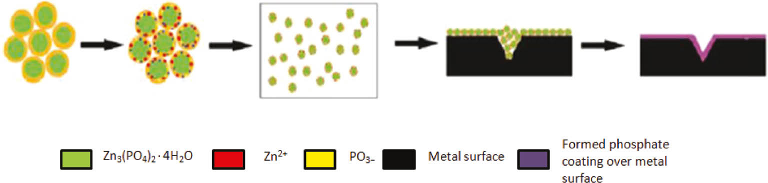 Figure 3: 
						Mechanism of phosphate coating formation on metal substrate.
					