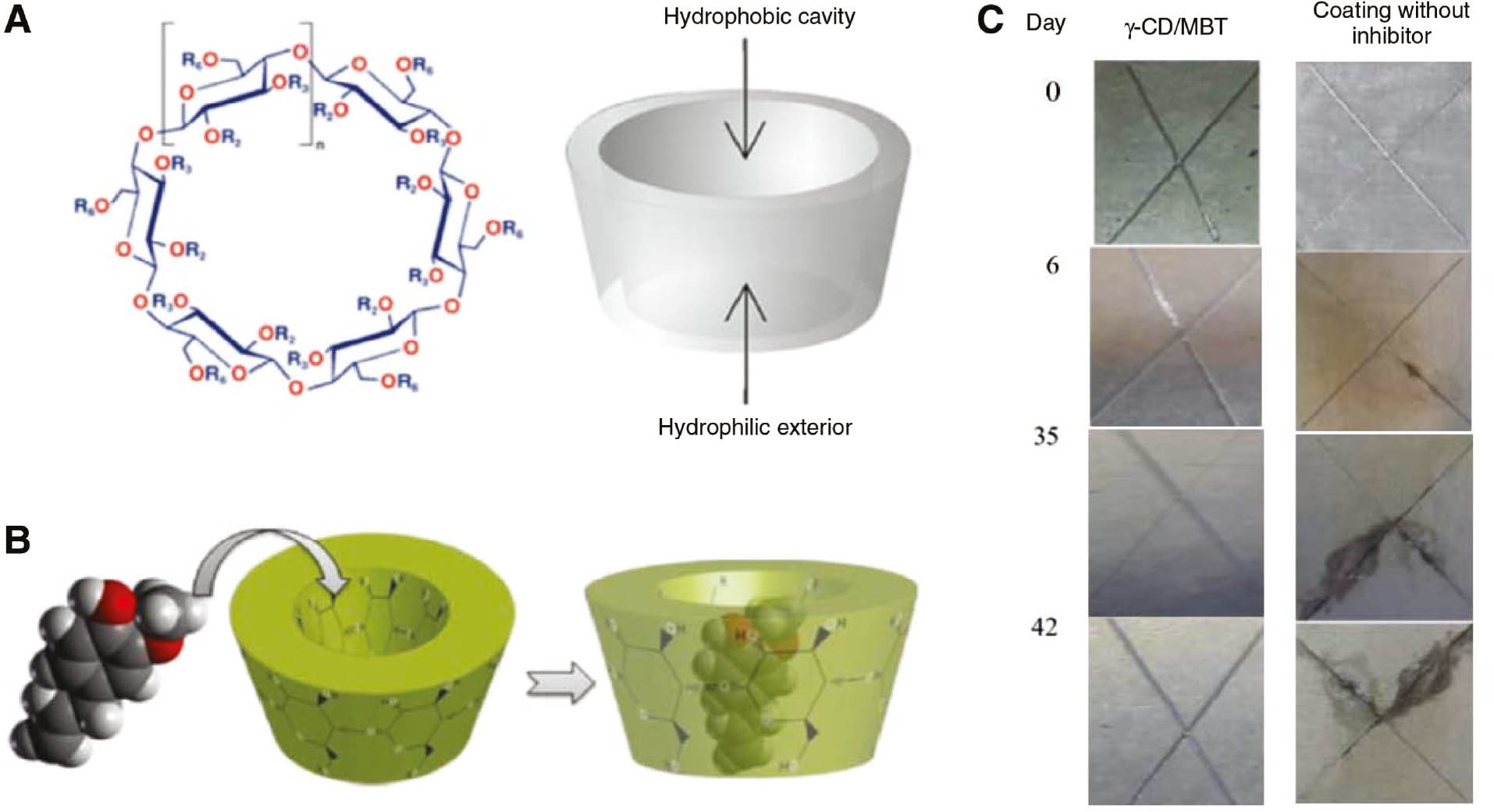 Figure 4: 
                (A) Molecular structure of CDs. (B) Schematic showing formation of an inclusion complex with guest molecule. (C) Results of the 1000-h salt spray test of coated Al alloy (reproduced with permission from Amiri & Rahimi, 2014, 2015; Rahimi & Amiri, 2016; Copyright @ Springer).
              