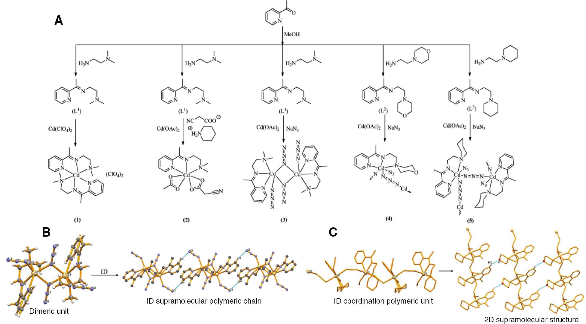 Figure 7: 
              (A) Scheme showing synthesis procedure of Cd(II) complexes 1–5. (B) Dimeric unit structure and supramolecular network structure of complex 3. (C) Coordination polymeric structure and the 2D supramolecular network of complex 4 (reproduced with permission from Das et al., 2017; Copyright @ The Royal Society of Chemistry).
            