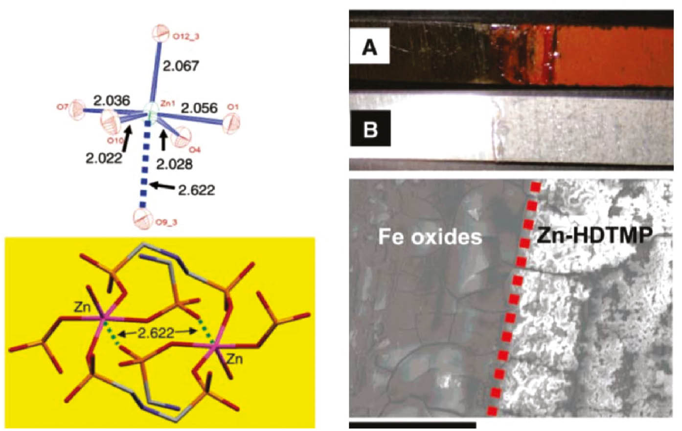 Figure 9: 
              (Left, top) Coordination environment of the Zn2+ center showing key bond distances (Å) [O(10)-Zn-O(4) non-linear angle-156.03°]. (Bottom) Coordination modes of the tepraphosphonate ligand. The aminomethylene parts of the ligand and the Zn2+ centers create a “box” of 160 Å capacity. (Right, top) Surface images of carbon steel without (A) and with 1 mM Zn2+/HDTMP synergistic combination (B). SEM images (bottom) showing the unprotected area (left) where the growth of iron oxides is evident and the protected area (right) where a film of Zn-HDTMP has grown (scale bar: 100 μm) (reproduced with permission from Demadis et al., 2005a; Copyright @ The American Chemical Society).
            
