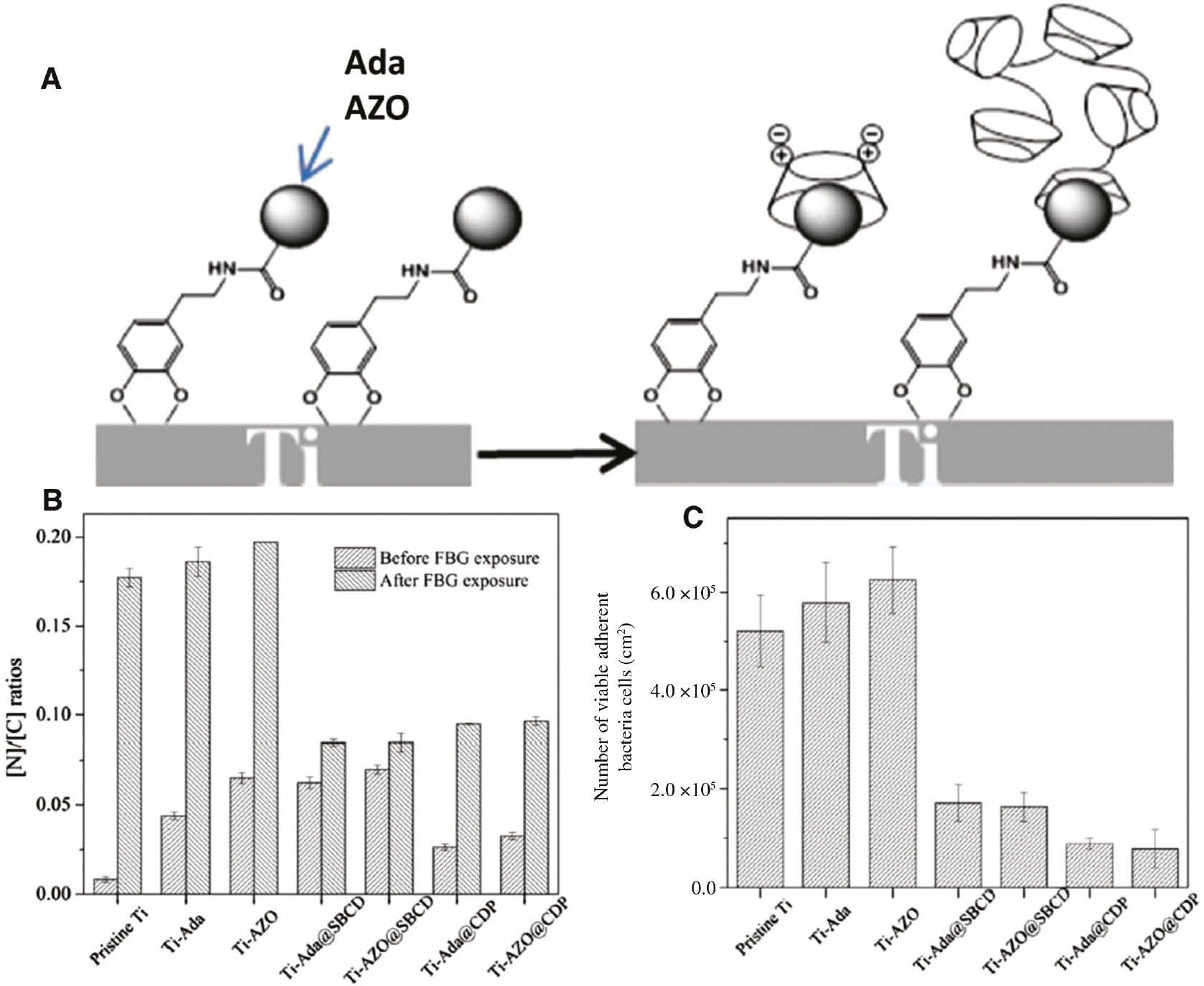 Figure 14: 
              (A) Schematic design of a biomimetic technique to fabricate guest molecule-anchored Ti oxide surfaces and a supramolecular assembly to fabricate SBCD- and CDP-functionalized Ti oxide surfaces via host-guest complexation. (B) Evaluation of protein adsorption, expressed as XPS-derived [N]/[C] ratios on different surfaces after incubation in PBS (pH 7.4) containing 1 mg ml−1 of FBG for 12 h. (C) Number of adhered bacterial cells per cm2 on different surfaces after exposure to Escherichia coli suspension in PBS (1×107 cells ml−1) for 4 h (reproduced with permission from Cai et al., 2016; Copyright @ Elsevier).
            