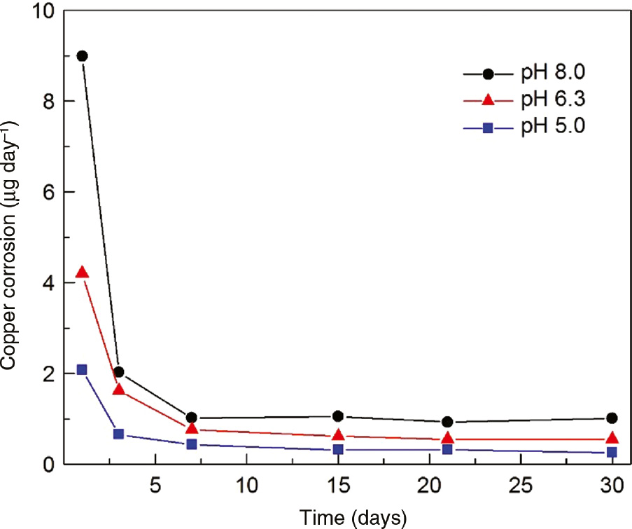 Figure 7: 
						Copper corrosion rate vs. time. Copper surface area of 200 mm2 in SUS (Table 1) without albumin (Mora et al., 2002).
					