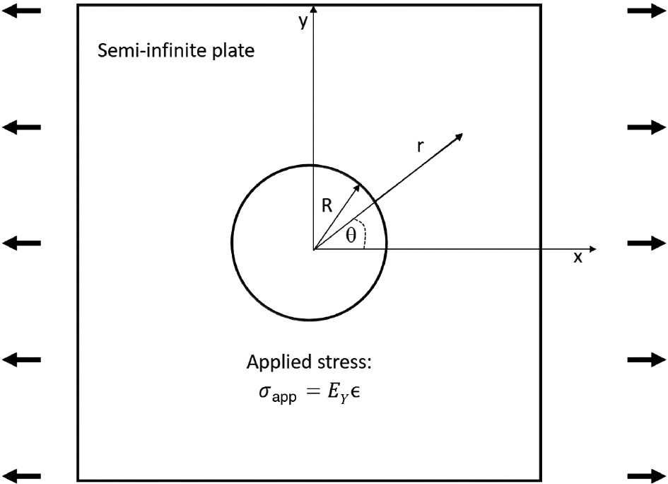 Figure 4:
Geometry for the stress field calculation for a semi-infinite plate with a hole at the center of the plate. In order to orient this to the computational cell in Figure 1, the x-axis is pointing out of the page in Figure 1, whereas the z-axis is pointed out of the page in this figure.
