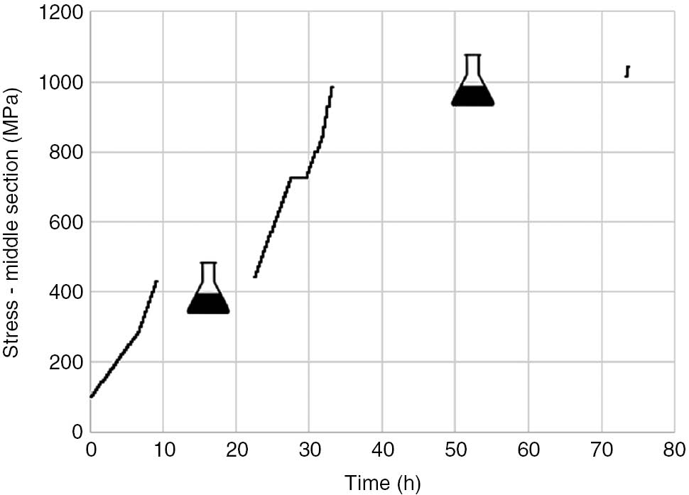Figure 6: 
					Loading history, test 4 of Table 3, from Baragetti et al. (2018).
				