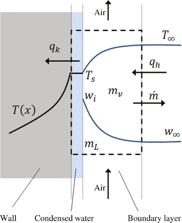 Figure 3: 
					A schematic of the condensed liquid film.
				