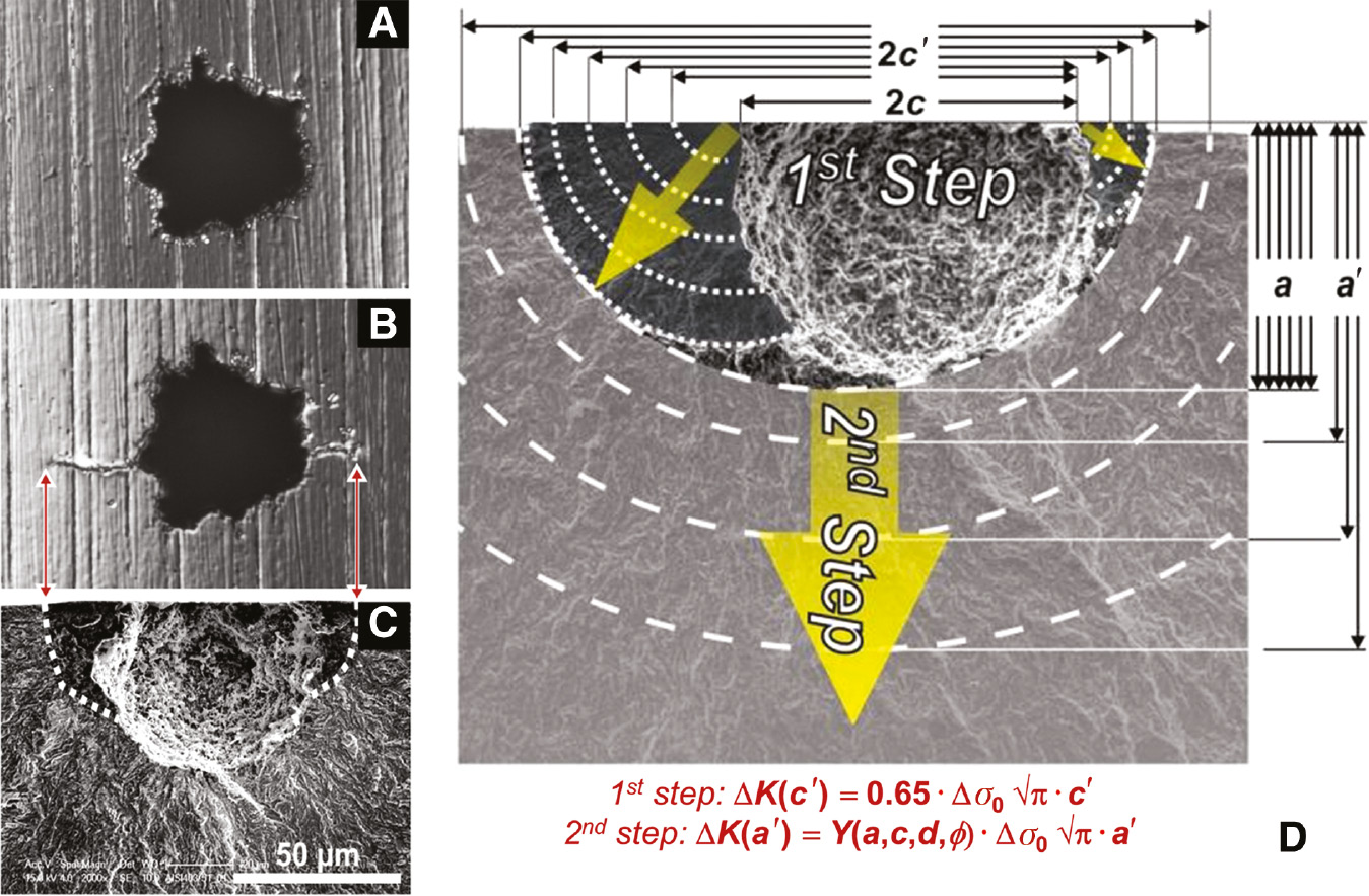 Figure 5: 
						Fracture mechanical evaluation with two-step model (Schönbauer et al., 2014) of small cracks emanating from corrosion pits. (A) Initial corrosion pit, (B) two small cracks observed at specimen surface after≈107 cycles, (C) same area at fracture surface with heat-tinted small cracks, (D) 2-step modeling of small crack growth.
					