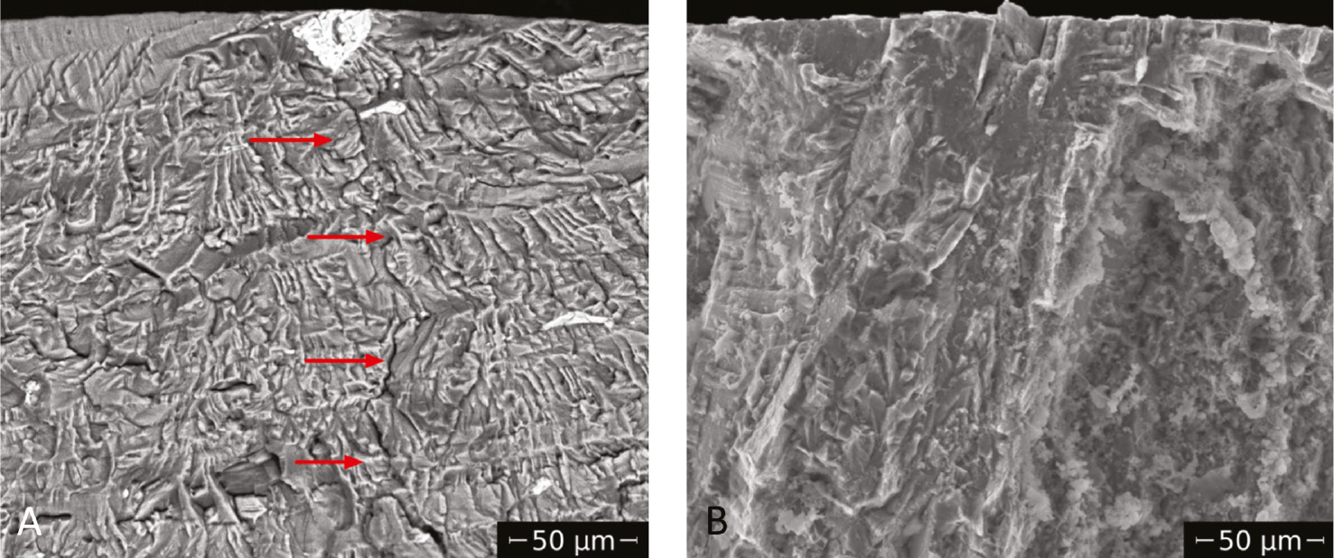 Figure 11: 
						Environmental influence during VA loading (random 20 kHz-sine blocks on constant low-frequency square loads): (B) rougher fracture surfaces of specimen fatigued in 3.5% NaCl with deeper secondary cracks and larger lifetime than after loading (A) in air (shorter life; Meischel et al., 2016).
					