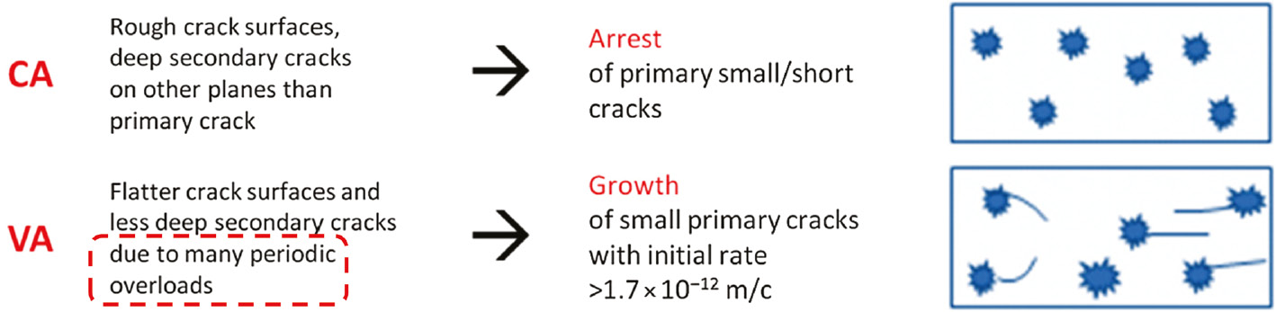 Figure 12: 
						Interpretation and model for deleterious effect of high and very high numbers of cycles during variable-amplitude loading, without considering environmental effects. Numerous periodic overloads lead to smoother crack surfaces and less deep secondary cracks than at CA loading so that small primary cracks can grow easier (Stanzl-Tschegg et al., 2016).
					
