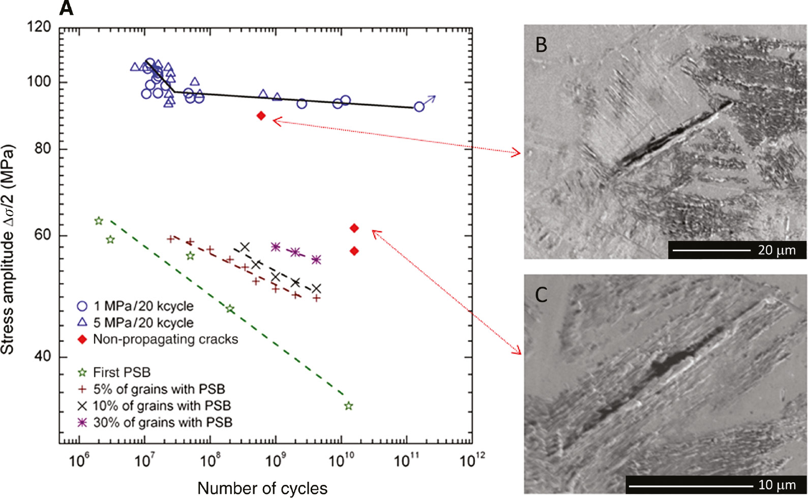 Figure 13: 
						
							S-N diagram and PSB threshold of electrolytic copper. (A) Endurance limit Δσ/2=93 MPa after more than 1011 cycles; PSB formation at Δσ/2 between 47 and 63 MPa. (B) No short crack or intrusion transition to a long crack after loading (C) with Δσ/2 between 47 and 63 MPa and (B) between 63 and 93 MPa (Stanzl-Tschegg & Schönbauer, 2007, 2014).
					