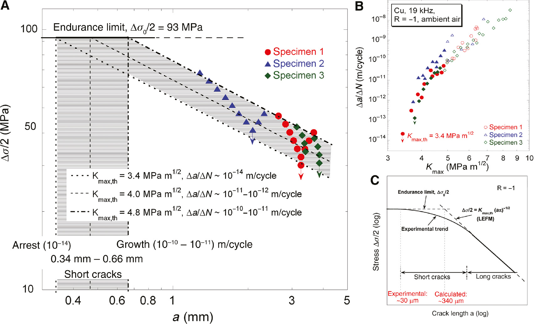 Figure 15: 
						Kitagawa and S-N data. (A) Δσ≥93 MPa are needed so that a crack of ≥340 μm is growing. At Δσ=63–93 MPa, many cracks with a length of 20–340 μm are formed, and at Δσ=45–63 MPa few small cracks with lengths of 20–50 μm are generated which do not propagate. (B) Measured Δa/ΔN vs. Kmax curves and ΔKth values. (C) Kitagawa plot with experimental and calculated (on the basis of LEFM) short-crack regimes (Stanzl-Tschegg & Schönbauer, 2010b).
					