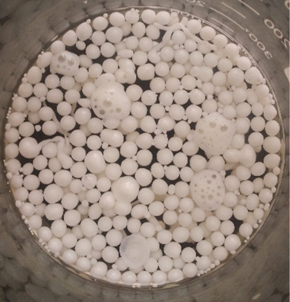 Figure 2: 
						Prepared capsules loaded with T-60.
					