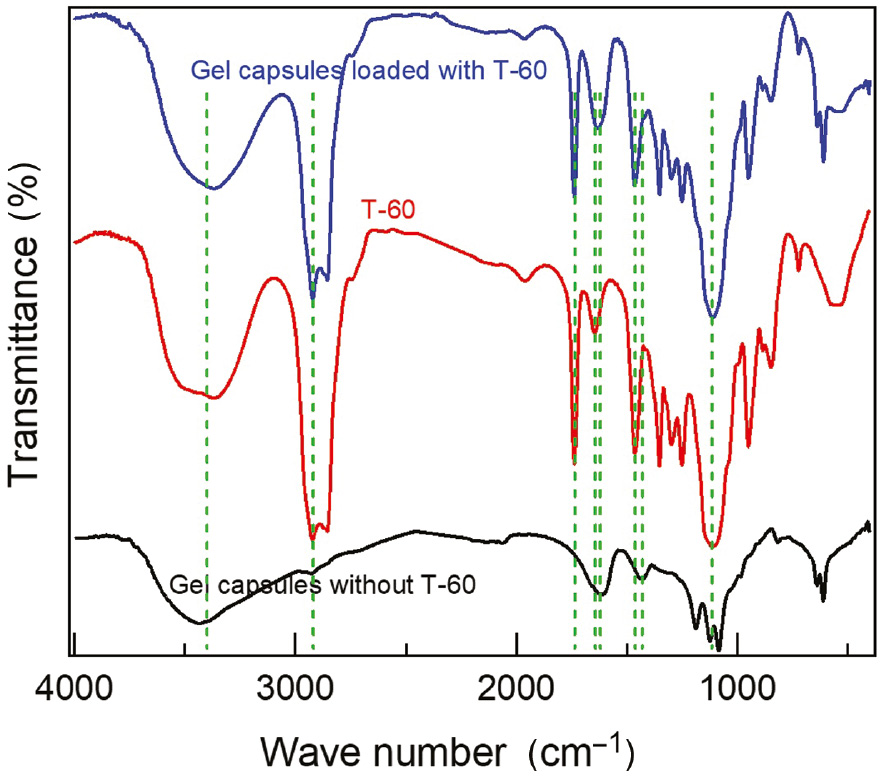 Figure 3: 
						FT-IR chart of gel capsules without and with T-60.
					