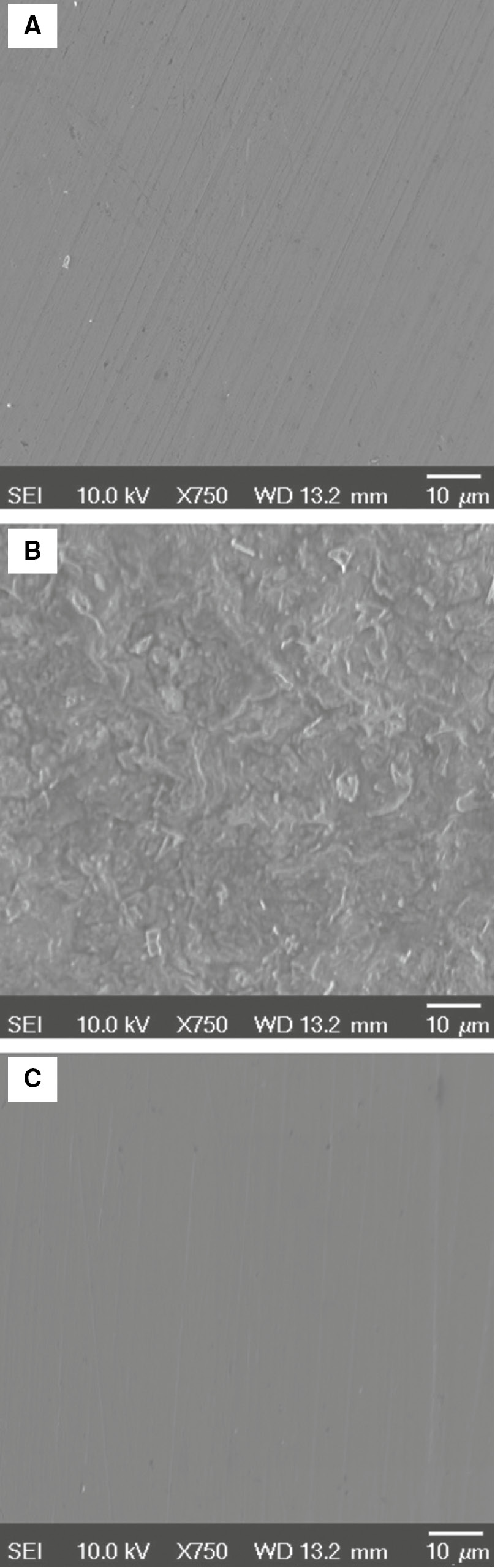 Figure 13: 
						SEM images of (A) freshly polished carbon steel surface, (B) after 48 h immersion in acidizing produced water without inhibitor, and (C) with released T-60 inhibitor.
					