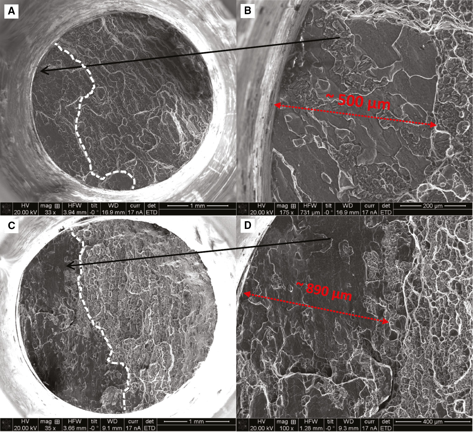 Figure 9: 
					Scanning electron microscopy images of fracture surfaces of SSRT samples strained to failure in humid air (50% RH) at a nominal strain rate of 10−5/s. (A) AA5083-H131 as-received +375 h in 0.6 m NaCl (test #4), (C) AA5083-H131 +250 h at 80°C +375 h in 0.6 m NaCl (test #7); (B) and (D) are higher magnifications of (A) and (C), respectively.
				