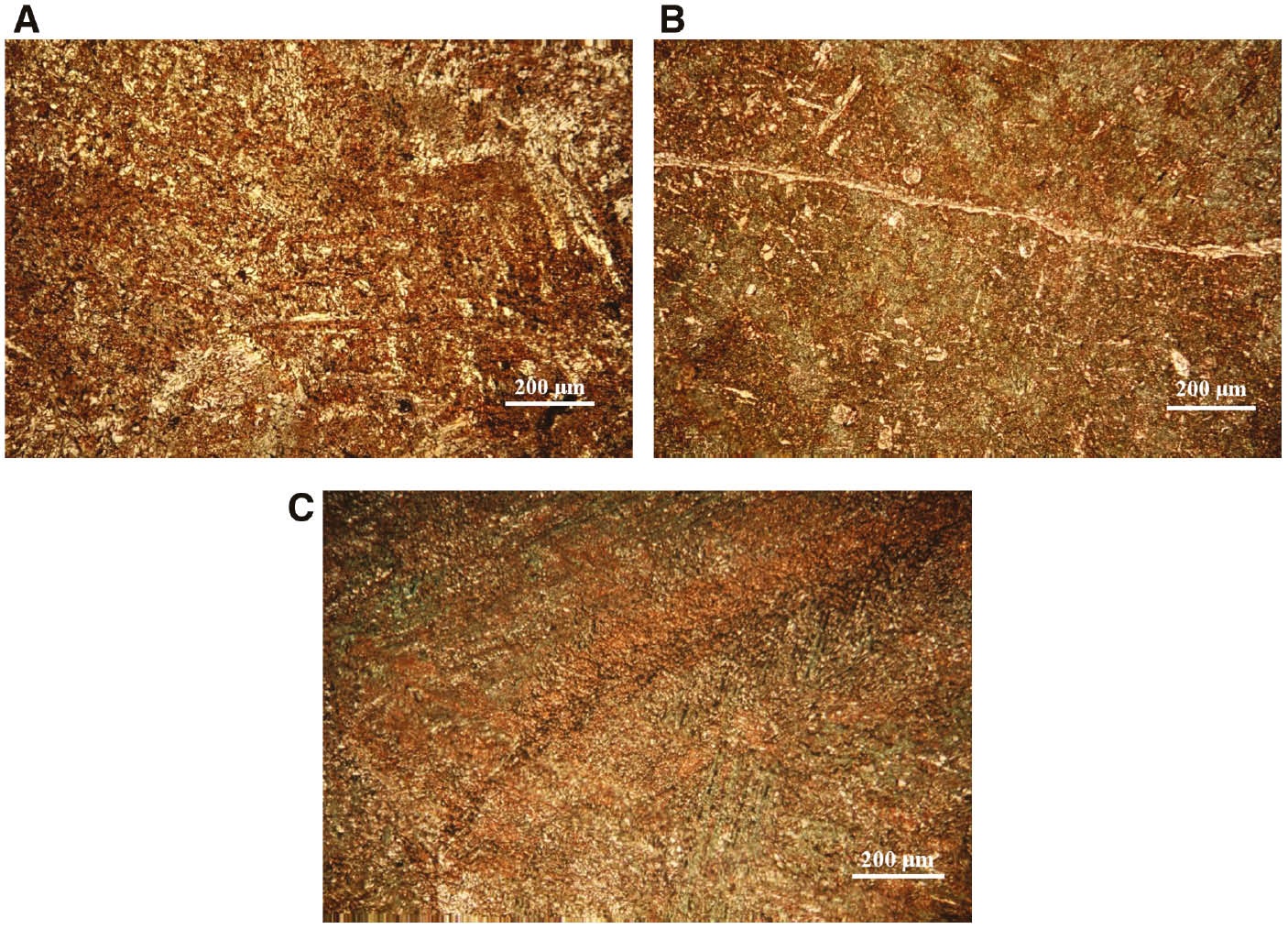 Figure 6: 
						Microscopic surface images of CuAlMn alloy after potentiodynamic polarisation measurement in 0.1% NaCl solution: (A) as-cast, (B) annealed and (C) annealed and aged state, with magnification of 200 times.
					