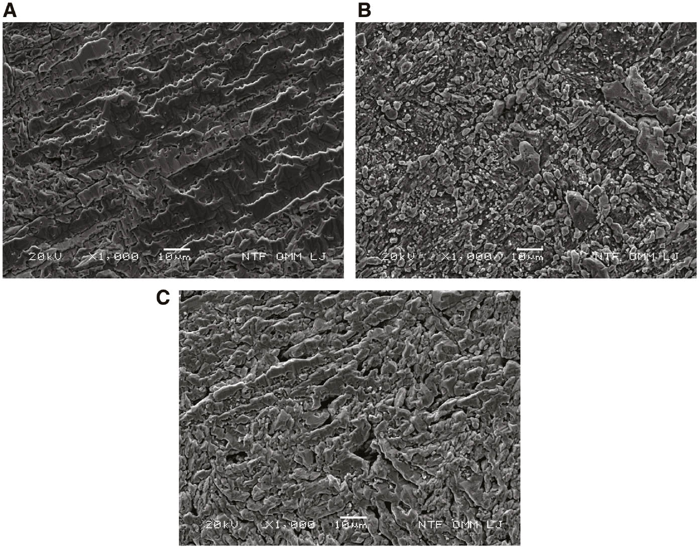 Figure 7: 
						SEM surface images of CuAlMn alloy after potentiodynamic polarisation measurement in 0.1% NaCl solution: (A) as-cast, (B) annealed and (C) annealed and aged state.
					