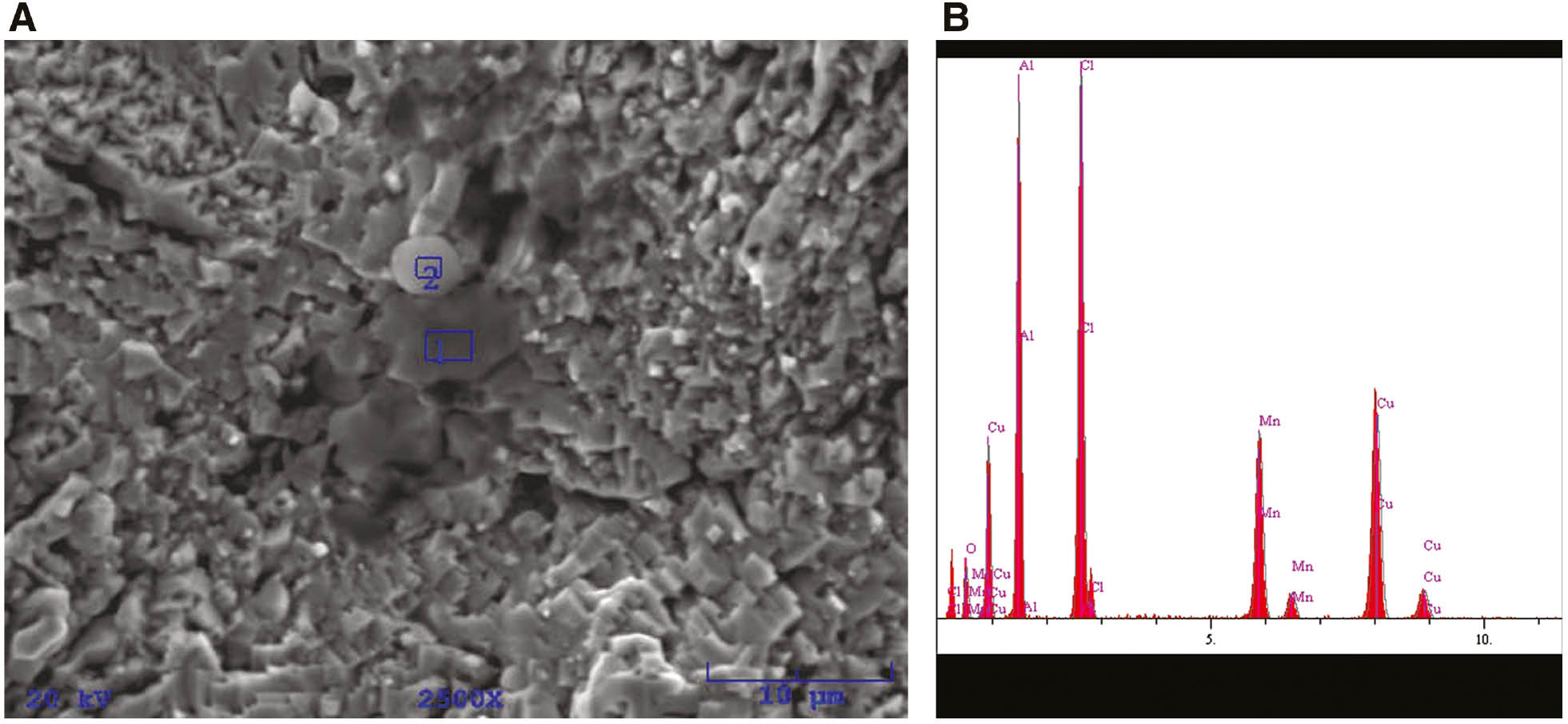 Figure 8: 
						(A) SEM images of as-cast CuAlMn alloy after potentiodynamic polarisation measurements in 0.9% NaCl solution (pH=7.4, T=37°C) and (B) EDS analysis for position 2.
					