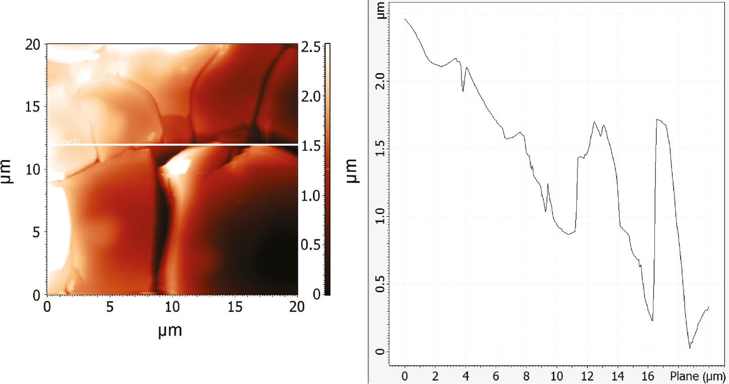 Figure 13: 
						AFM images of annealed CuAlMn alloy surface after polarisation measurements in 1.5 mol dm−3 NaCl solution and its roughness determined by line profile across the surface.
					