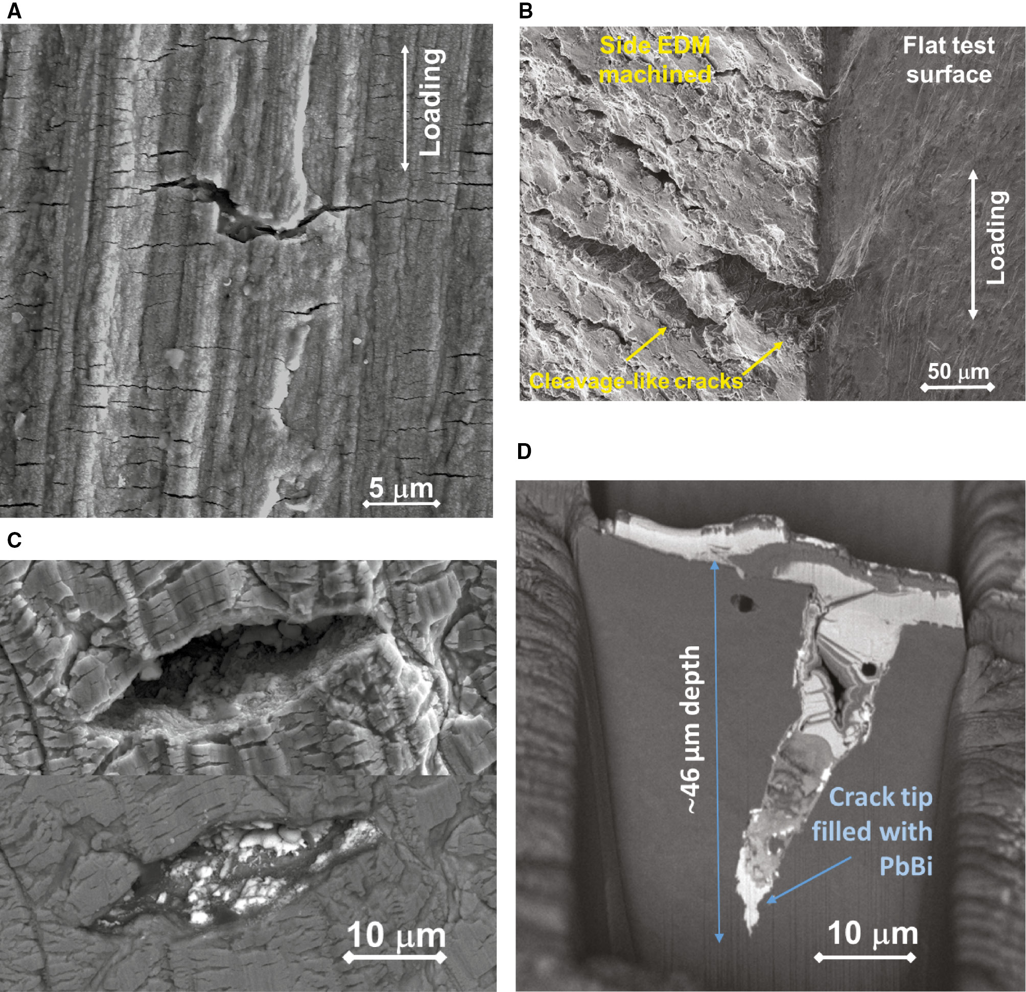 Figure 5: 
            Ground surface of R2-loaded specimen of CERT in LBE and 300°C: (A) the oxide layer with many fine cracks and one larger crack initiating from a subsurface particle; (B) LME/EAC cleavage-like cracks initiating from untreated side and edge of the specimen; (C) BSE image on the bottom showing the open LME/EAC crack, in which the inside contains the remaining LBE and SE image on the top showing many fine cracks in oxide; (D) FIB cut of the open LME/EAC crack of (C) revealing the 46 μm depth (BSE image).