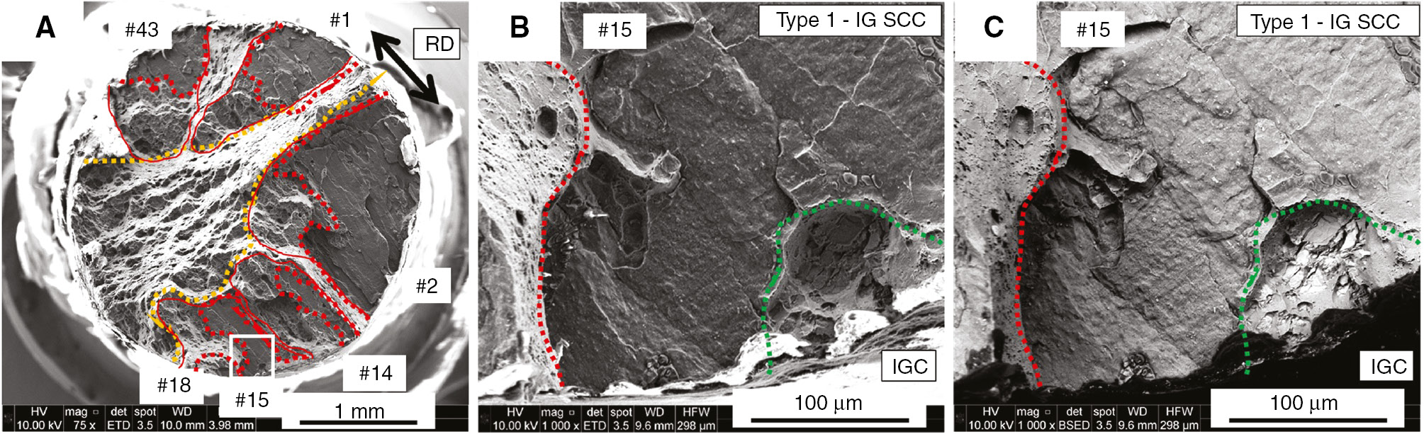 Figure 4:
SE SEM images showing (A) overview of the fracture surface with IGSCC (type 1, dotted red lines), type 2 cracking (solid red lines) and micro-void coalescence (MVC; region within the dotted orange lines) along with the specific identified EIC crack numbers correlated from XCT data. (B) A closer look at the IGSCC (crack 15) fracture surface showing the region of initiation at a corrosion site (dotted green lines). (C) Backscattered SEM image of region shown in (B) showing the bright-appearing cluster of intermetallic phases at the surface corrosion site.