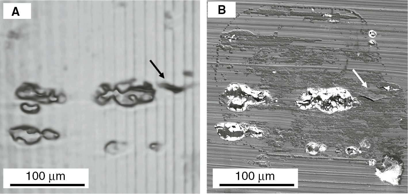 Figure 5:
(A) Volume rendering of the sample gauge length surface obtained from the XCT data of the sample showing the region of interest where EIC crack 3 (marked with black arrow) initiated, and (B) the corresponding SEM SE image of the surface showing the corrosion sites associated with intermetallic particles and the EIC crack 3 (marked with white arrow) initiating from one of these sites.
