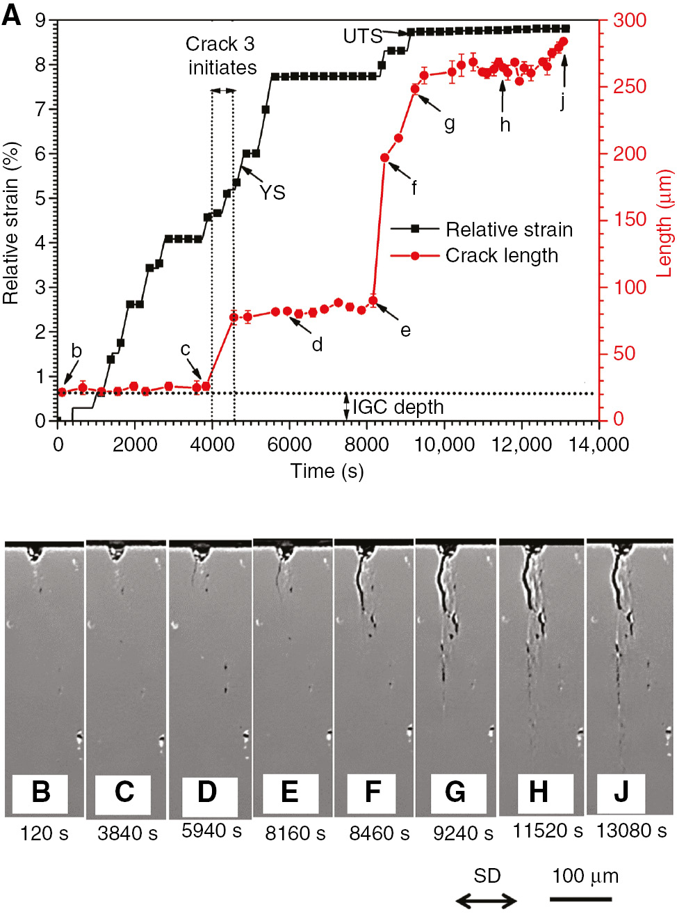 Figure 7:
(A) Length of crack 3 measured from the time-lapse XCT data and calculated relative strain on the sample vs. test time showing – 0.2% yield strength – 275 MPa, initiation window of the crack 3, UTS – 325 MPa and the initial IGC site depth. (B–J) XCT virtual slices of the sample showing the crack at various stages of the test marked in (A). SD, straining direction.