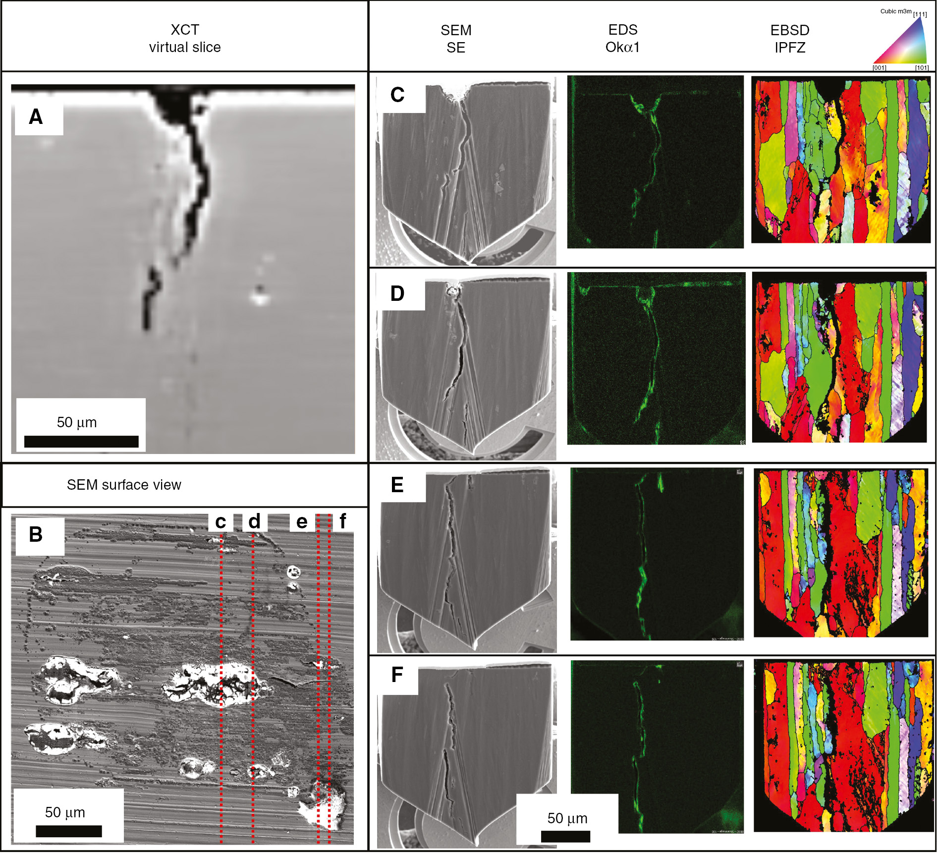 Figure 8:
(A) XCT virtual slice (filtered) showing initiation region and morphology of crack 3. (B) SEM SE surface view of the corrosion site from where the crack initiated showing the locations (marked in red) of the presented PFIB cross sections (C–F) from which SE images, EDS and EBSD maps were acquired. Slice (C) corresponds to the XCT virtual slice in (A).