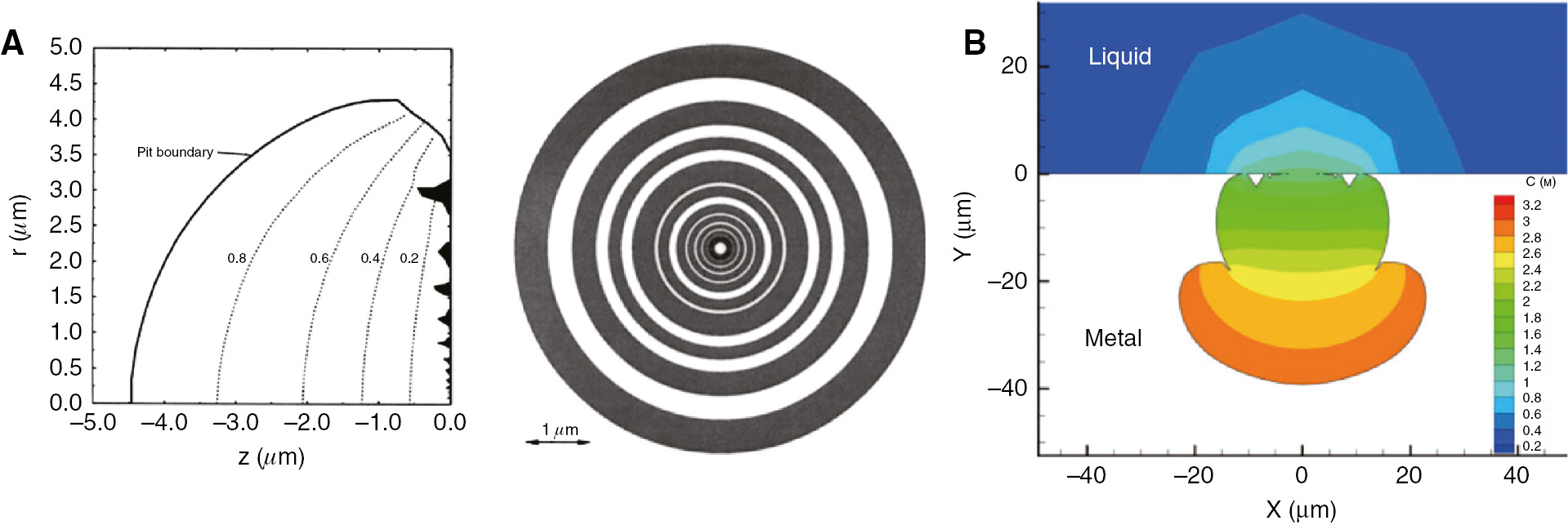 Figure 3: 
						Simulations of pitting corrosion in stainless steel using Laycock and White’s model: (A) half of the pit cross section, and top view of the formed lacy covers in an axisymmetric domain (Laycock et al., 1998). (B) Cross section of a pit grown under galvanostatic conditions (Krouse et al., 2014). The colors represent the metal ion concentration.
					