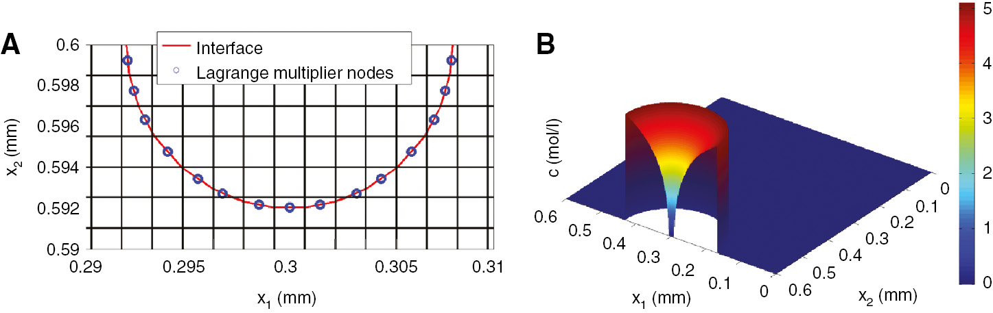 Figure 4: 
						A non-autonomous model that avoids remeshing by using XFEM and level-set method for simulating pit growth over a fixed mesh. (A) Pit boundary moves over the mesh and possesses an independent discretization, shown as Lagrange multiplier nodes. (B) A 3D plot of concentration of metal ions in a 2D simulation of a pit. From Duddu (2014).
					