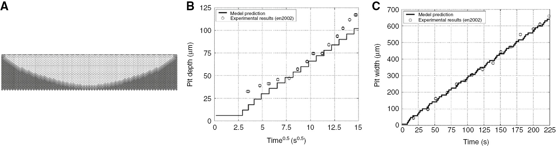 Figure 6: 
							2D simulation of a pit grown in stainless steel by the FVM model (Scheiner and Hellmich, 2007), given the lacy cover as a prescribed boundary condition, and comparison with an experimental pit (Ernst and Newman, 2002): (A) FVM simulated pit shape; (B) pit depth evolution; and (C) pit width evolution.
						