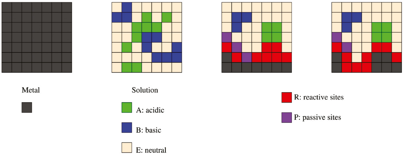 Figure 7: 
							Schematics of a 2D cellular automata model. Six different states are defined for cells in the discrete domain (Stafiej et al., 2013).
						