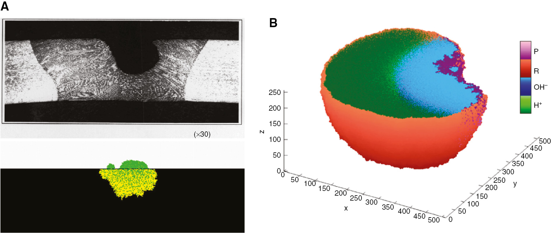 Figure 8: 
							Examples of pitting corrosion simulations by cellular automata models: (A) qualitative comparison of a 2D CA simulation with an experimental pit (Di Caprio et al., 2011); (B) a 3D simulated pit with states and colors being the same as in Figure 7 (Pérez-Brokate et al., 2016).
						