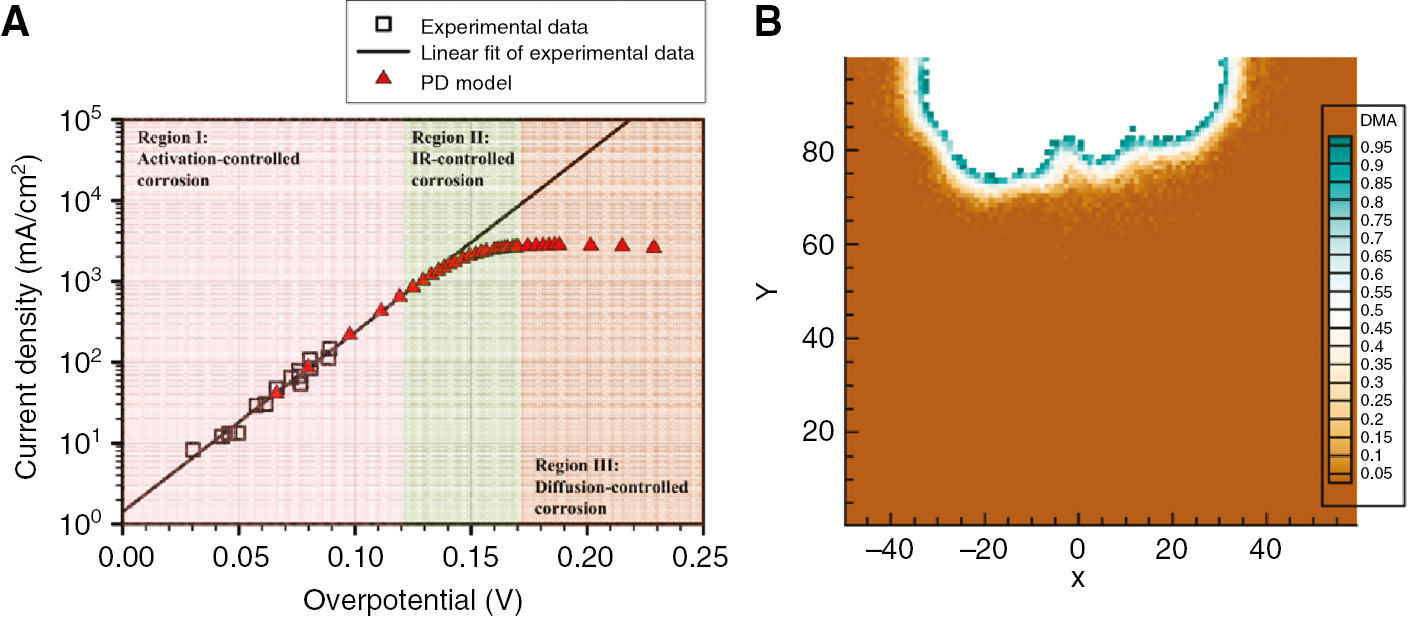Figure 10: 
							Peridynamic simulation results for pitting corrosion (Chen and Bobaru, 2015): (A) comparing current density versus overpotential from 1D peridynamic simulation results, with the experimental data on 1D artificial pitting in 304 stainless steel in 1 m NaCl solution (Gaudet et al., 1986); (B) a 2D peridynamic simulation of pit growth in a heterogeneous material. The colors in B map represent the damage values.
						