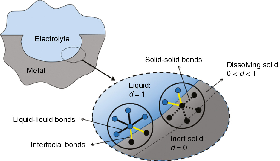 Figure 11: 
							Schematics of different phases and different diffusion bonds at the corrosion front, in peridynamic corrosion damage model.
						
