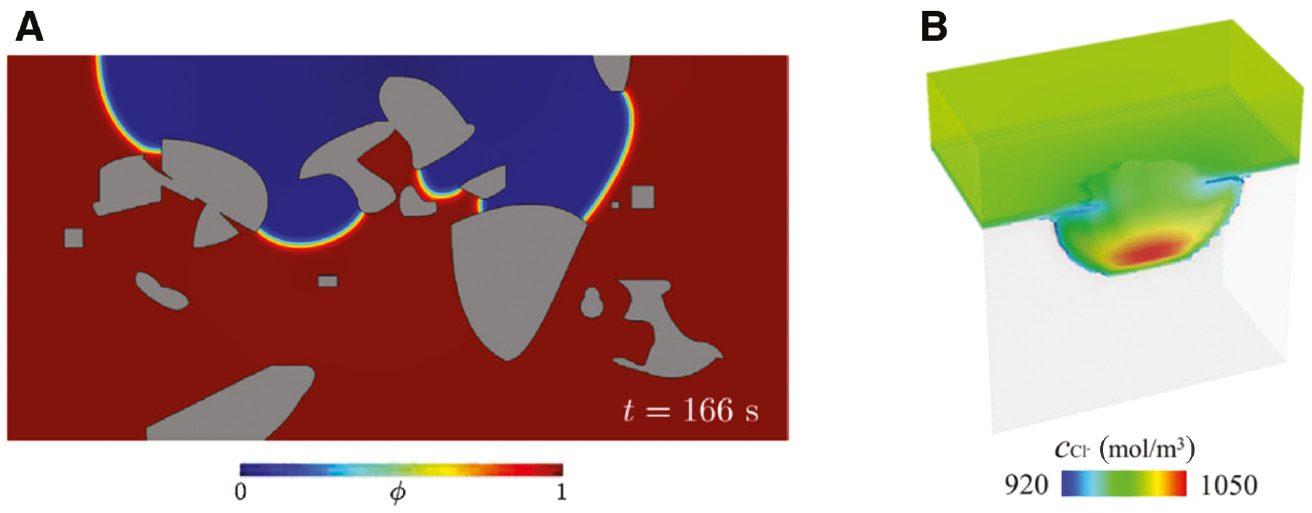 Figure 14: 
							Examples for pitting corrosion simulations with phase-field models: (A) 2D simulation for a pit growing in a SiC particle-enforced aluminum composite (Mai et al., 2016). (B) 3D simulation of pitting corrosion in pure iron under a passive film (Tsuyuki et al., 2018). Colors in B map the molar concentration for Cl−.
						