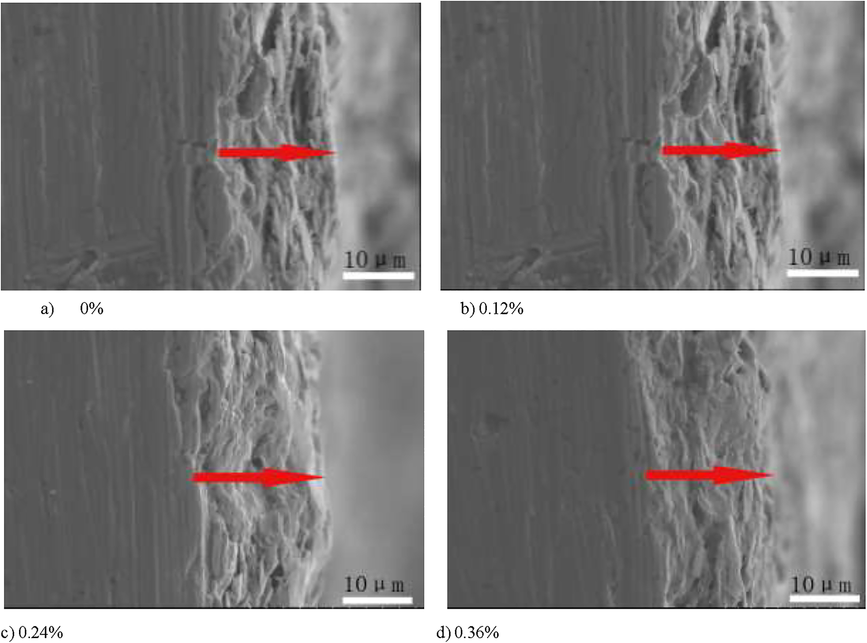 Figure 2: 
						Scanning electron microscopy section topography of each coating.
					
