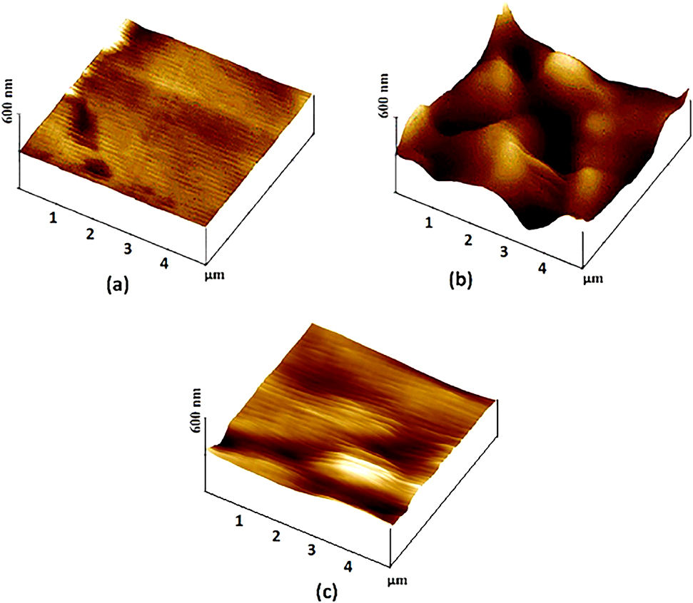 Figure 6: 
						3D images of the copper surface: (a) before and (b) after 1-h soaking time in the blank and (c) after 1-h soaking time in the 1 mM PyTA/1 M HCl.
					