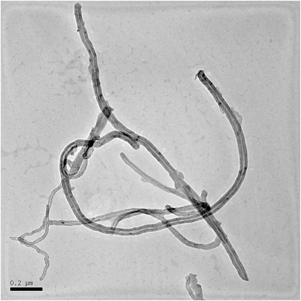 Figure 1: 
						TEM micrograph of carbon nanotubes (CNTs).
					