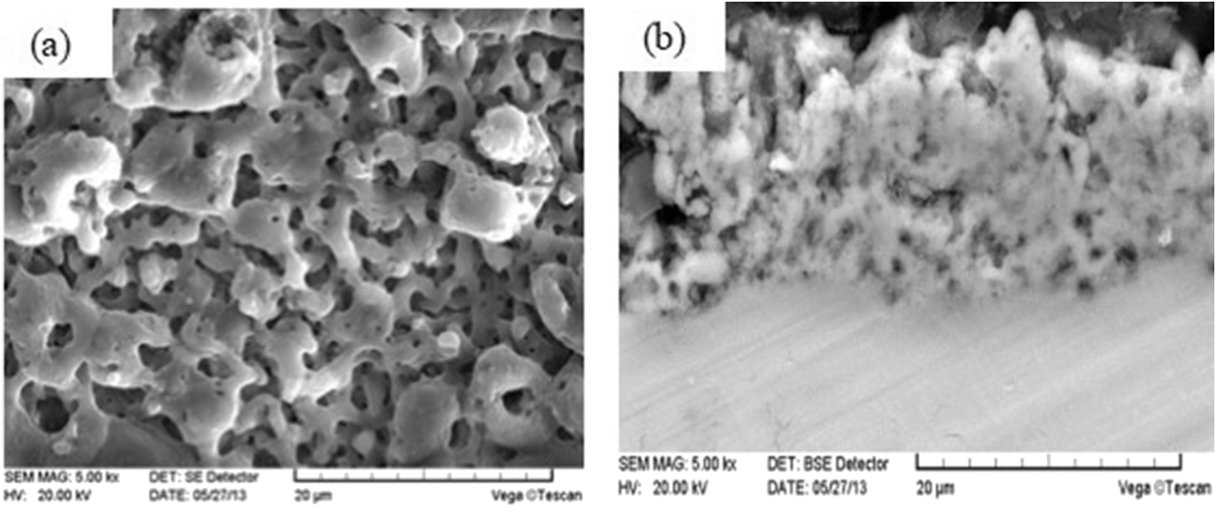 Figure 3: 
						Morphology of plasma electrolytic oxidation (PEO) ceramic coatings: (a) surface morphology; (b) cross-section morphology.
					