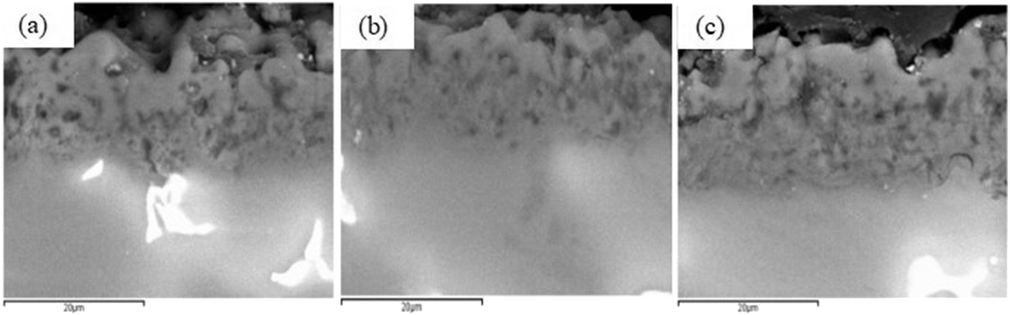 Figure 5: 
						Cross section morphology of coatings with different concentrations of CNTs: (a) 0.15 g/L; (b) 0.3 g/L; (c) 0.5 g/L.
					