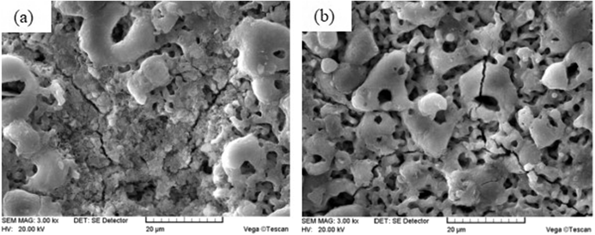 Figure 9: 
						Corrosion morphology of plasma electrolytic oxidation (PEO) coating: (a) plasma electrolytic oxidation (PEO) coating without carbon nanotubes (CNTs); (b) 0.5 g/L CNTs.
					