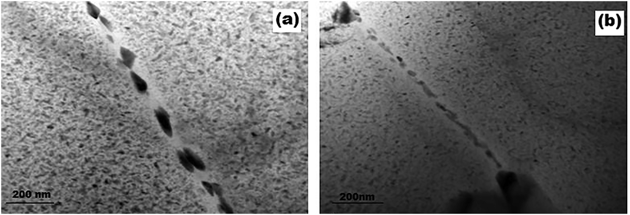 Figure 4: 
						TEM micrographs
						(a) PM, (b) SZ.
					