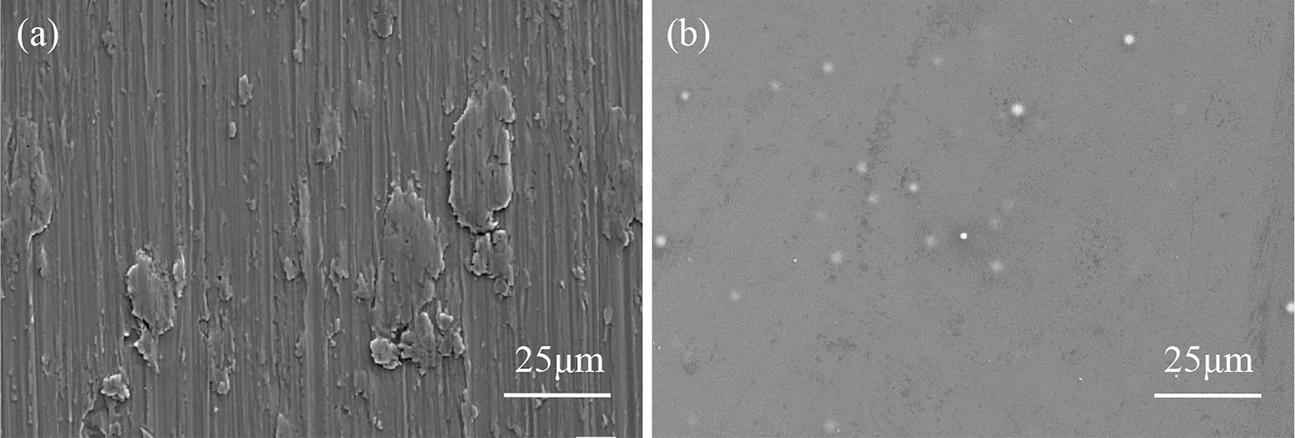 Figure 2: 
						Surface morphologies of (a) Ti-15-3 alloys and (b) aluminized PVC film that are unexposed to NSS.
					