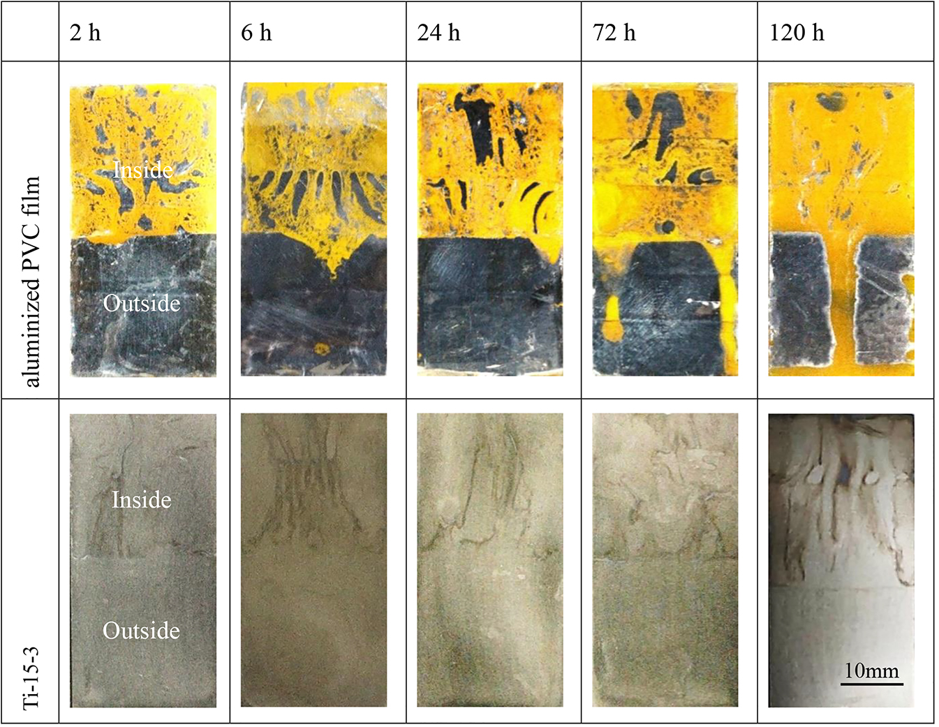 Figure 3: 
						The photos of Ti-15-3 overlapped with aluminized PVC film during the NSS test.
					