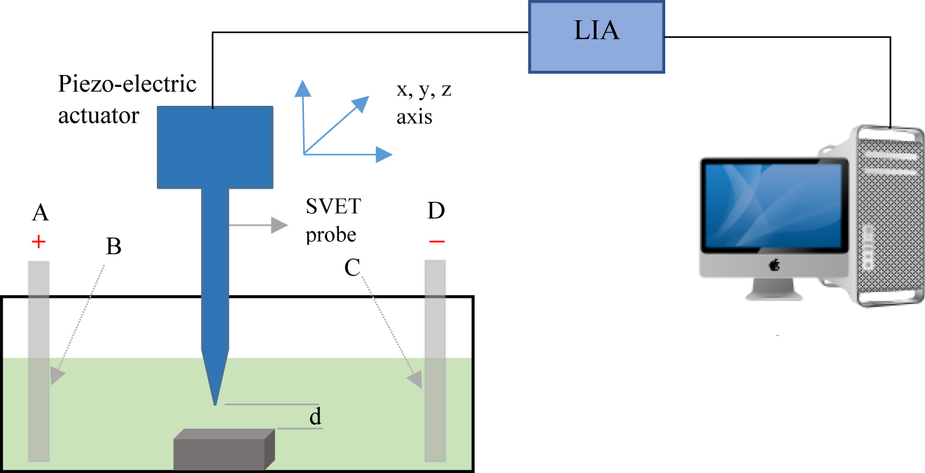 Figure 13: 
						Schematic presentation of SVET.
					