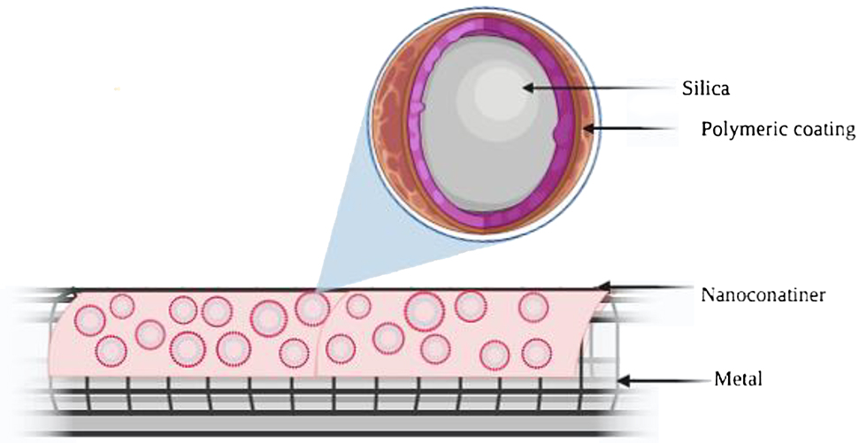 Figure 3: 
						Components of nanocontainer for anti-corrosive action.
					