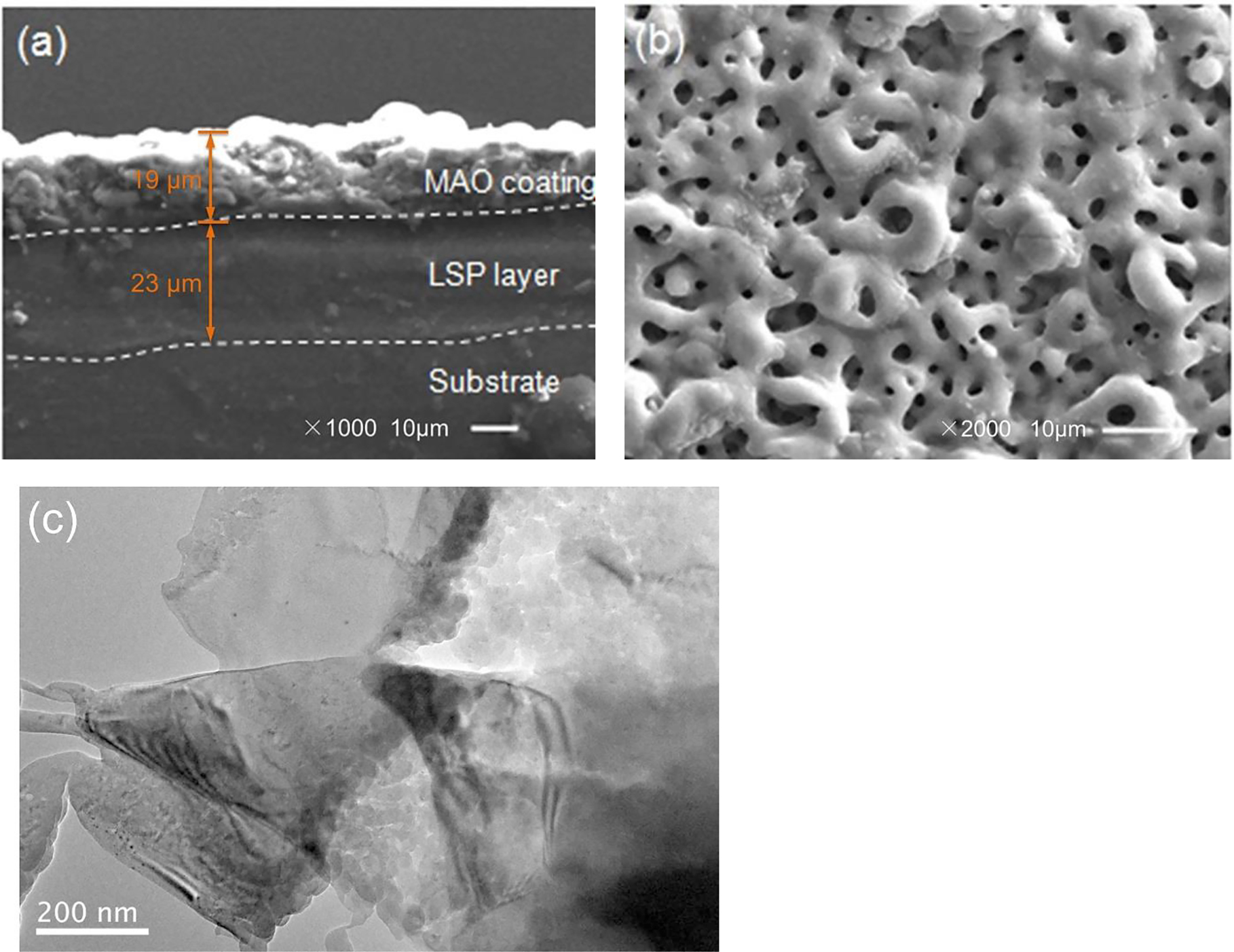 Figure 1: 
						Microstructure of LSP/MAO coating: (a) SEM cross section; (b) SEM for MAO surface; (c) TEM for LSP area.
					